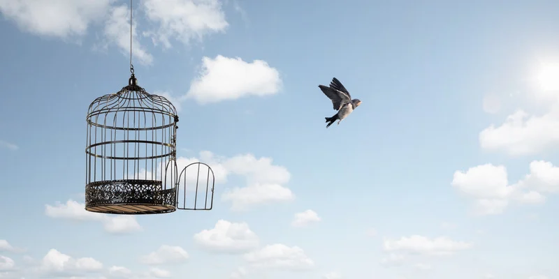 A bird flying from an open cage, representing personal freedom and transformation.